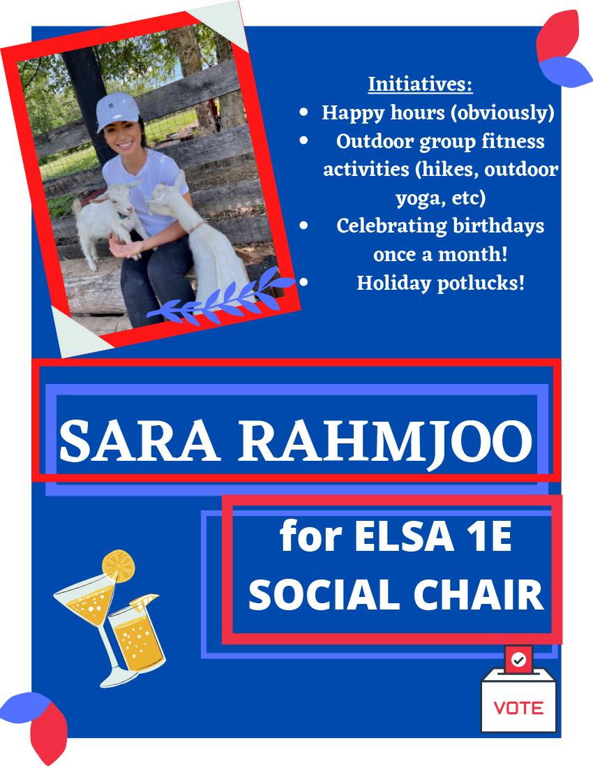 Sara Rahmjoo flyer